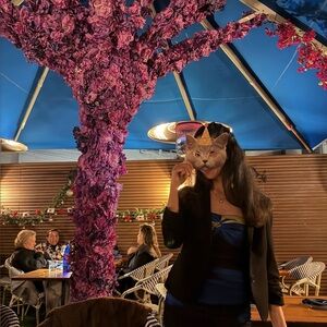 Meet your Posher, Seda